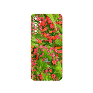 MAHOOT Atom Universe 3 Cover Sticker for Samsung Galaxy A34