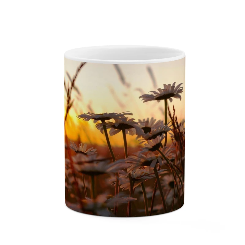 ماگ کاکتی مدل منظره کد mgh17805