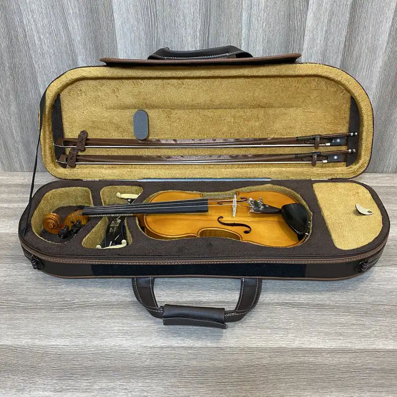 هاردکیس ویولن مدل GSAGST