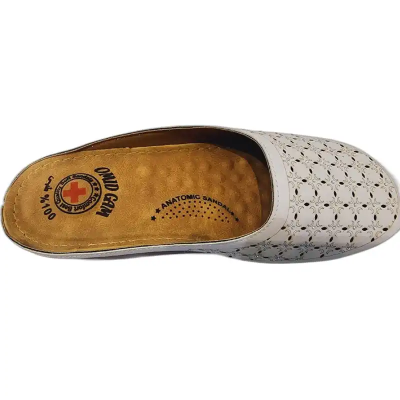 صندل زنانه مدل جلوبسته دلآرام