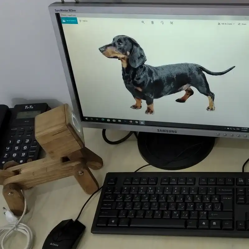 چراغ مطالعه مدل فلورا کد 1 HAKU DOG