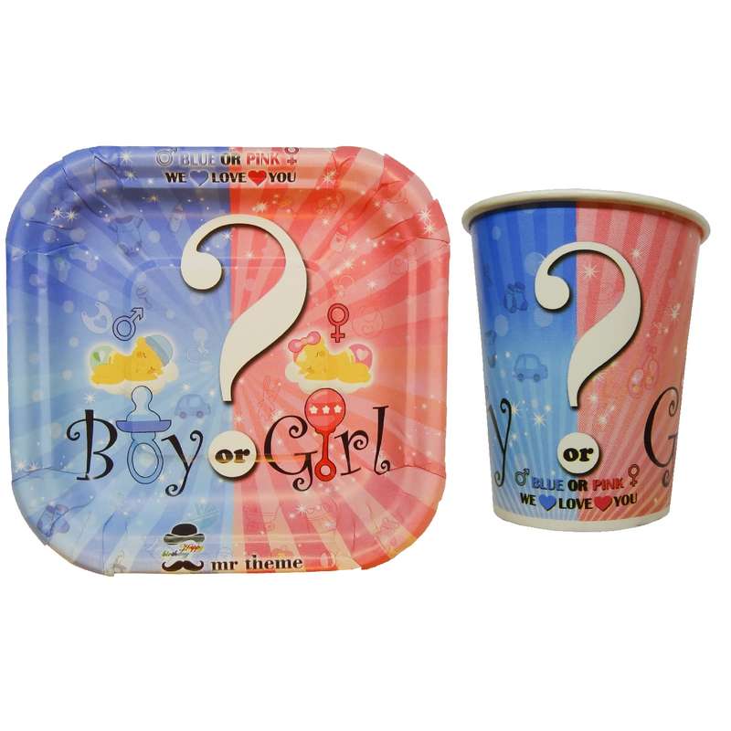 پیش دستی و لیوان یکبار مصرف مستر تم طرح تعیین جنسیت بسته 40 عددی