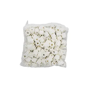 سرامیک آکواریوم مدل RING وزن 300 گرم