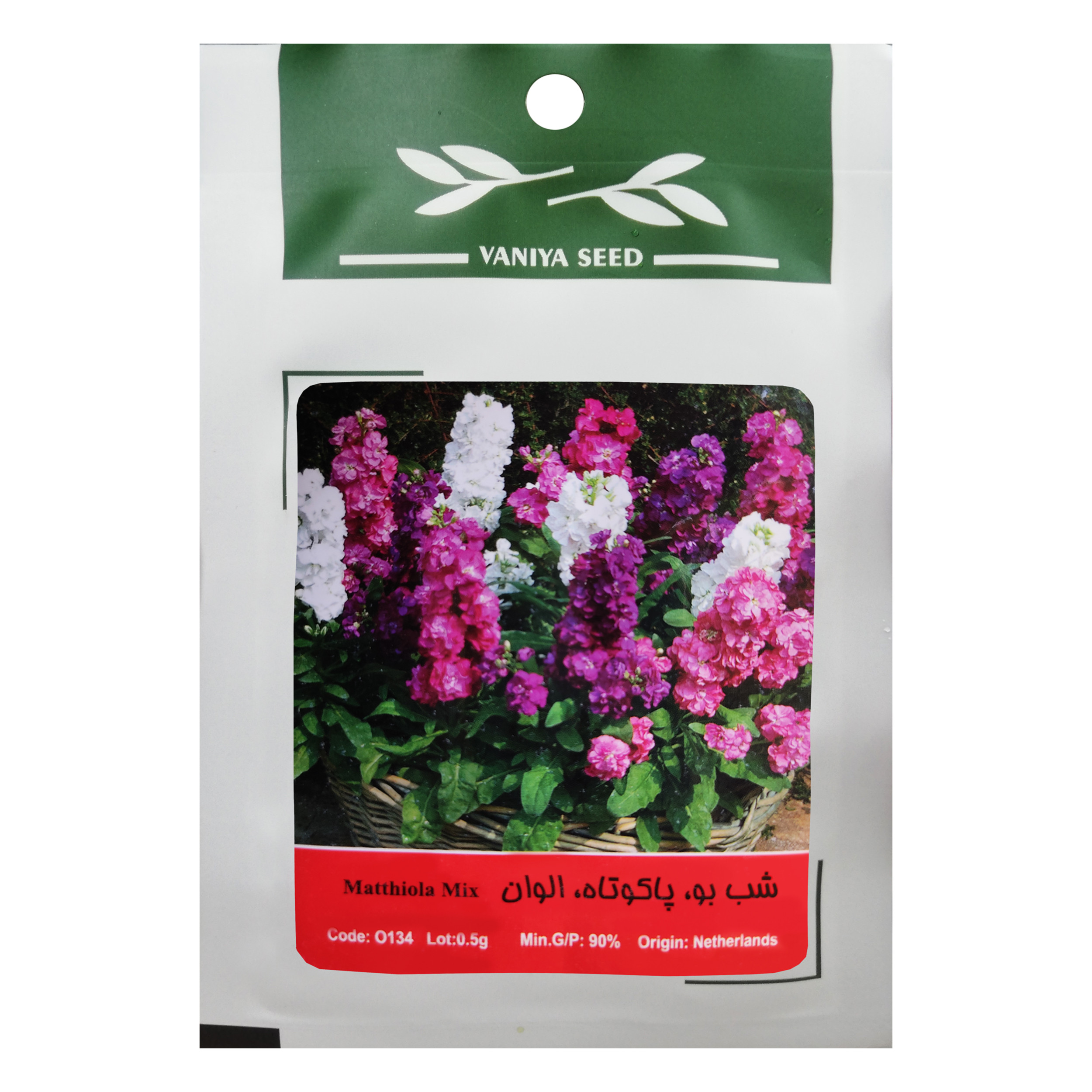 بذر گل شب بو پاکوتاه الوان وانیا سید مدل O134