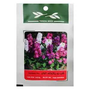 بذر گل شب بو پاکوتاه الوان وانیا سید مدل O134