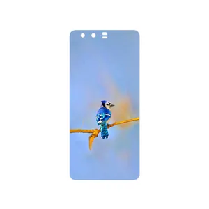 MAHOOT Cyanocitta cristata Cover Sticker for Huawei P10 Plus