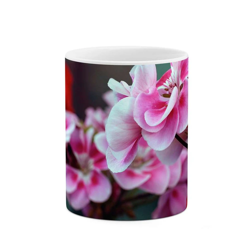 ماگ کاکتی مدل گل کد mgh12125