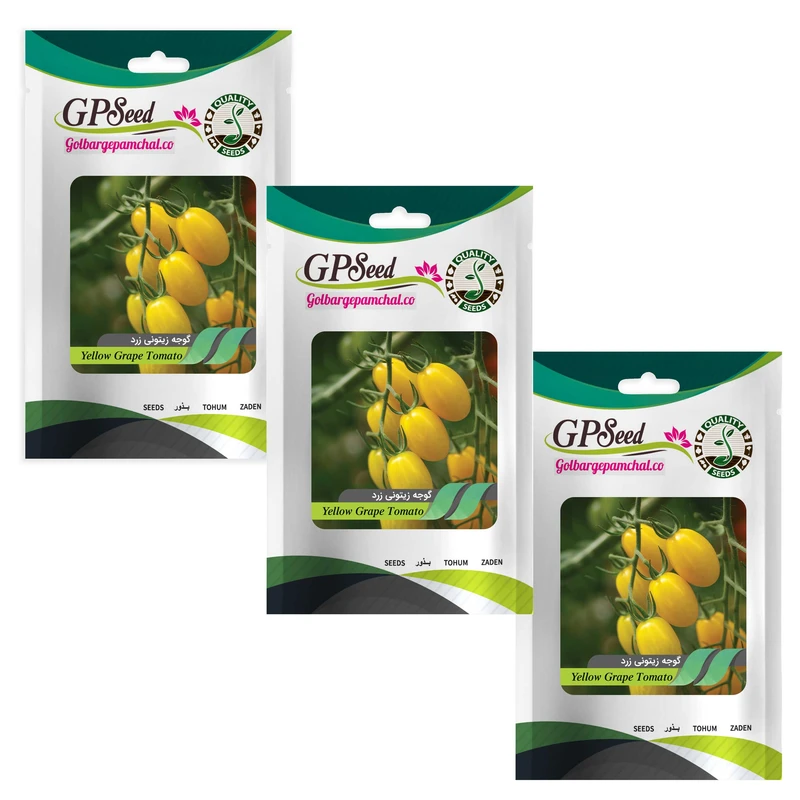 بذر گوجه چری زیتونی زرد گلبرگ پامچال کد GPF-199 مجموعه 3 عددی