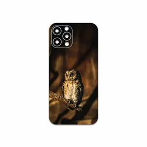 MAHOOT Owl Cover Sticker for Apple iPhone 12 Pro Max