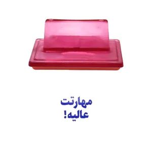 مهر حس آمیزی مدل معلمان و مربیان طرح مهارتت عالیه