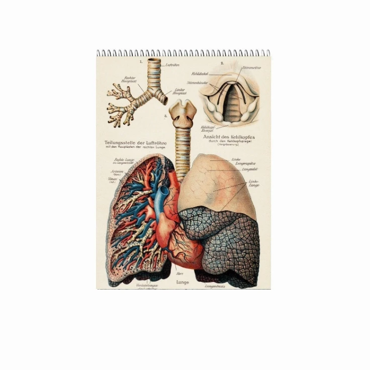 دفتر شطرنجی ۱۰۰ برگ طرح شش کد ۹۱