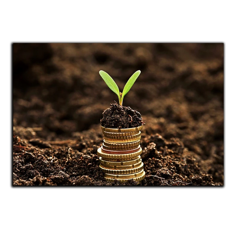 تابلو شاسی بکلیت طرح امید و جوانه مدل SH-S1219