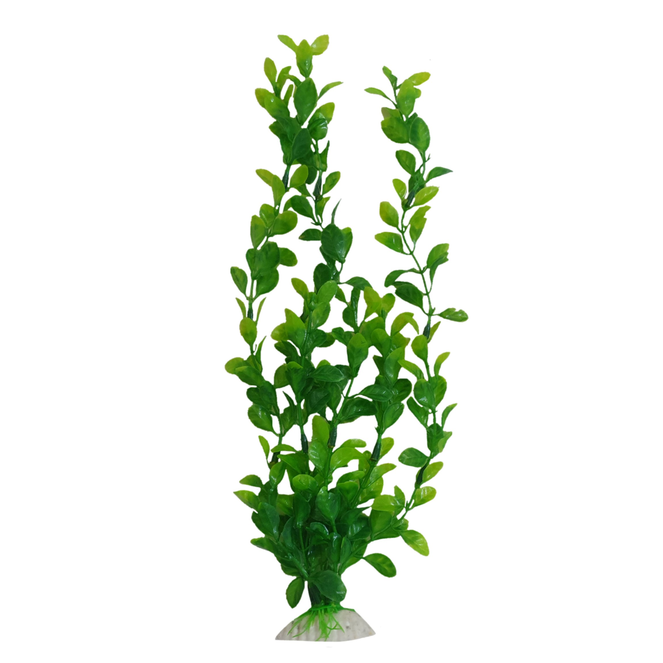 گیاه تزیینی آکواریوم مدل گلبرگ 