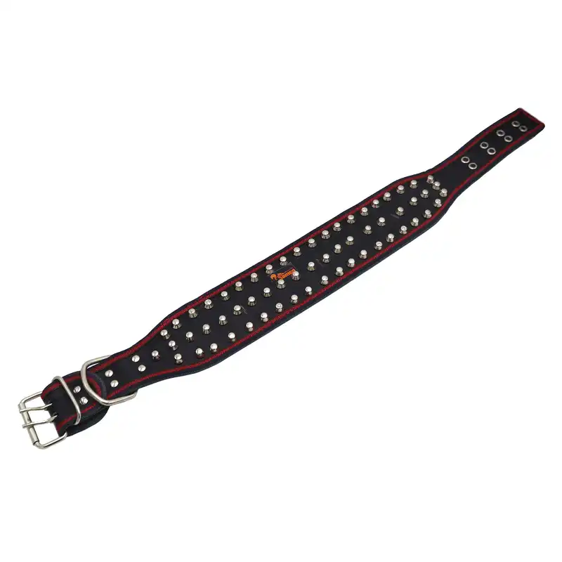 قلاده سگ سامکو مدل نگین دار کد YP-NEGINDAR-70CM