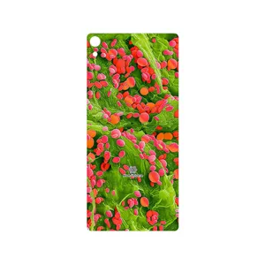 MAHOOT Atom Universe 3 Cover Sticker for Sony Xperia XA Ultra