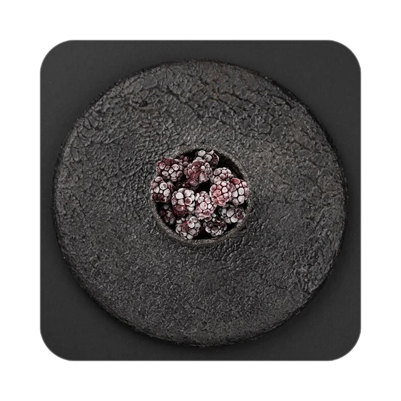 زیر لیوانی کاکتی طرح میوه مدل mp22395