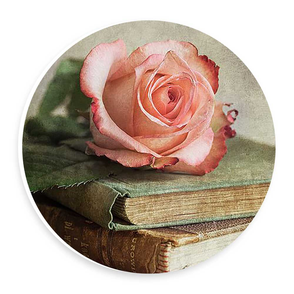 دیوارکوب طرح گل رز و کتاب مدل wtb224