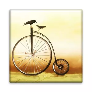 کاشی مدل R1134 طرح نقاشی دوچرخه و کلاغ