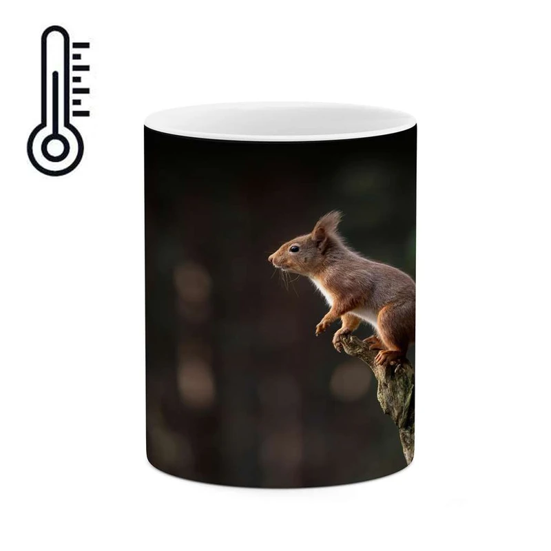 ماگ حرارتی کاکتی مدل سنجاب کد mgh14824