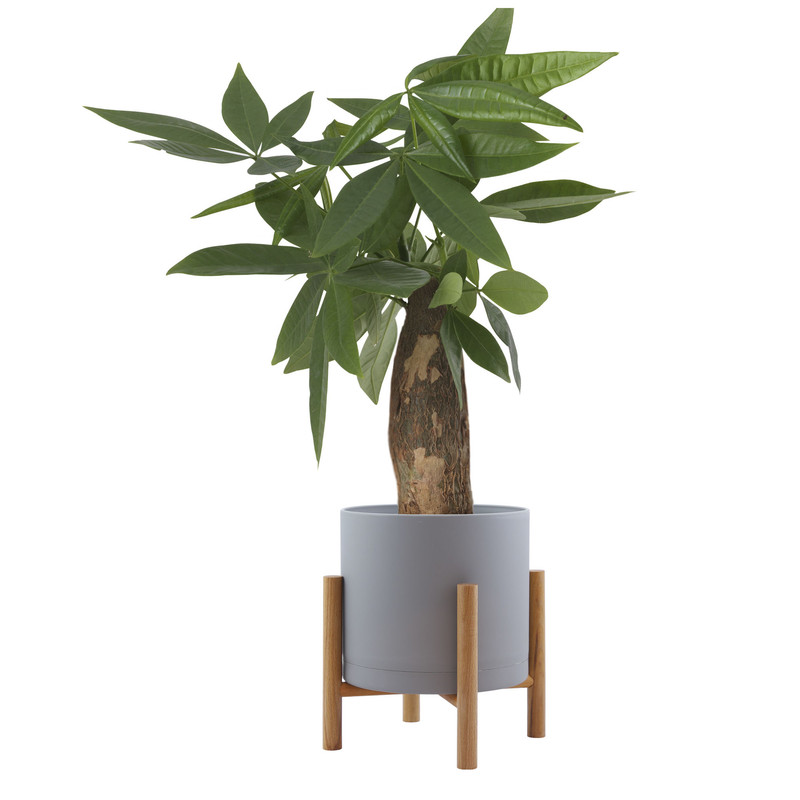 گلدان مدل Nextwood 20SL