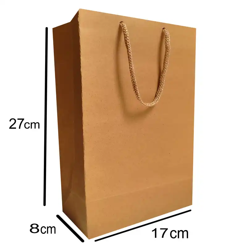 ساک هدیه مدل ساده بسته 10 عددی