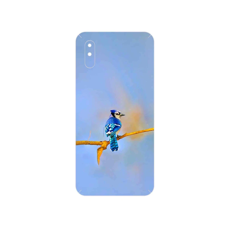 برچسب پوششی ماهوت مدل Cyanocitta cristata مناسب برای گوشی موبایل شیائومی Redmi 9i Sport