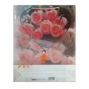 ساک هدیه پاپکو مدل قلب کد cxf-001