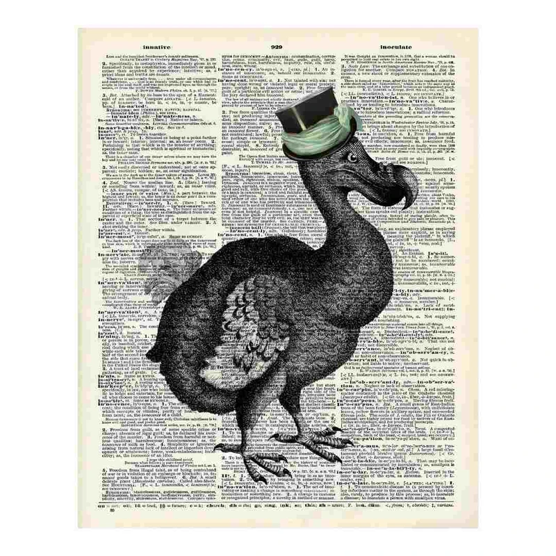 پوستر مدل مرغی با کلاه