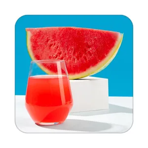 زیر لیوانی کاکتی طرح میوه مدل mp20583