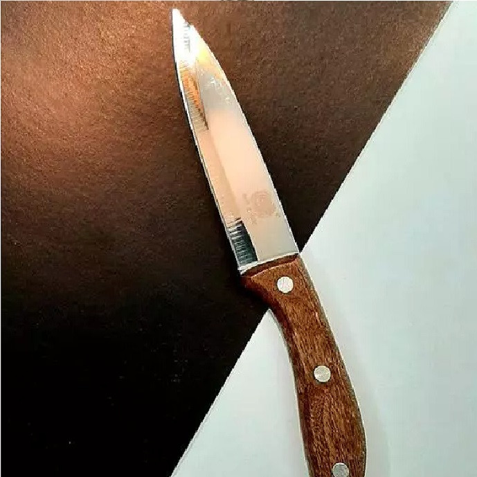 چاقو مدل آشپزخانه فنگ اند فنگ کد 11111