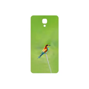 MAHOOT European bee-eater Cover Sticker for LG X screen