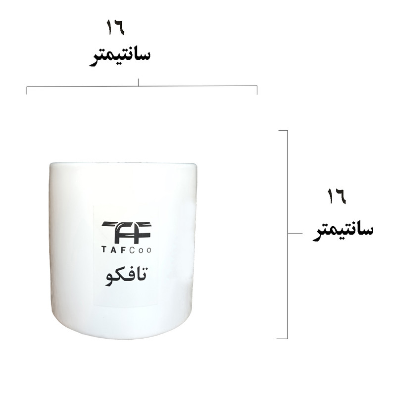 گل طبیعی کریپتانتوس تافکو مدل s1