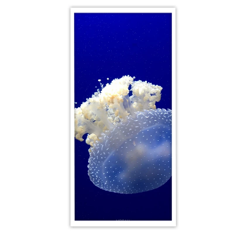 تابلو بکلیت طرح عروس دریایی مدل W-S3599