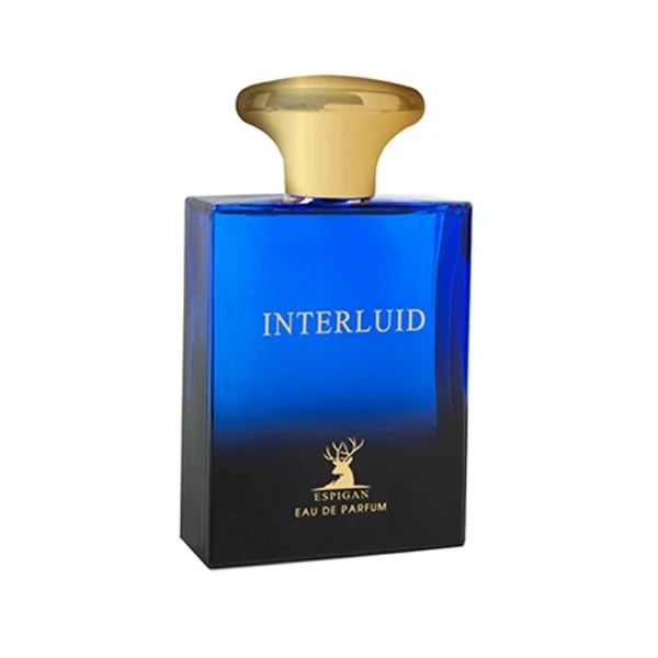 ادو پرفیوم مردانه اسپیگان مدل INTERLUID با رایجه گرم حجم 100 میلی لیتر