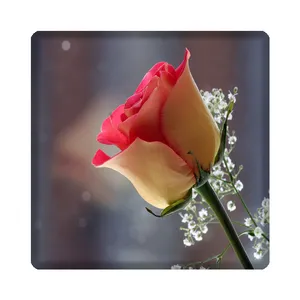 کاشی مدل گل kh10 کد 95