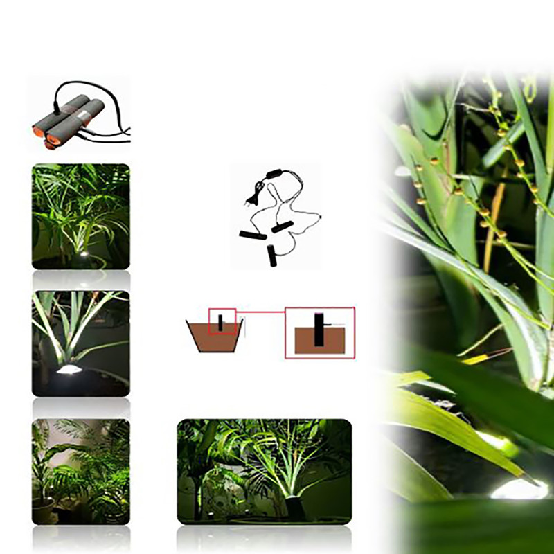 لامپ رشد گیاه 15 وات لایت ویژن مدل hp1-5w بسته سه عددی