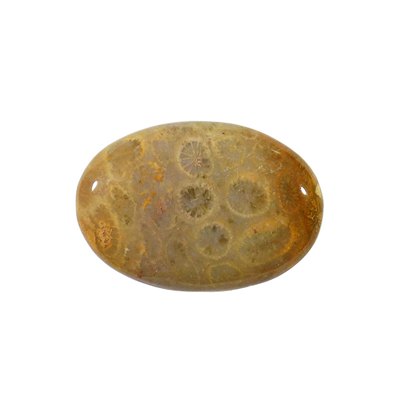 سنگ فسیل مرجان کد TG6536