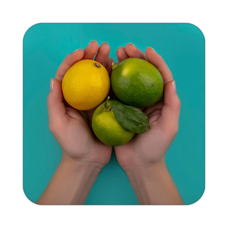 زیر لیوانی کاکتی طرح میوه مدل mp22548