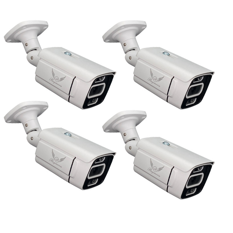 دوربین مداربسته تحت شبکه رایمون مدل پنج مگاپیکسل کد 8302-POE بسته چهار عددی