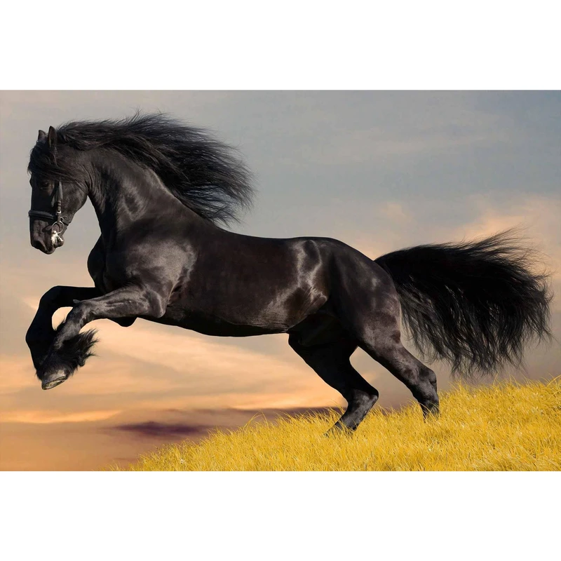 مگنت طرح حیوان اسب مدل T1322 