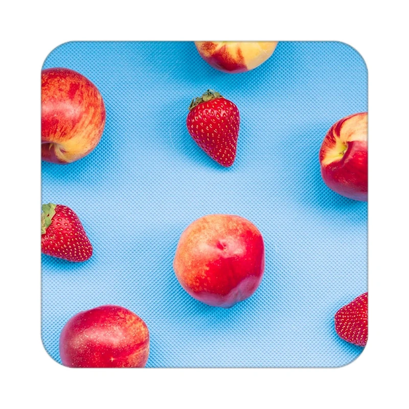 زیر لیوانی کاکتی طرح میوه مدل mp20666