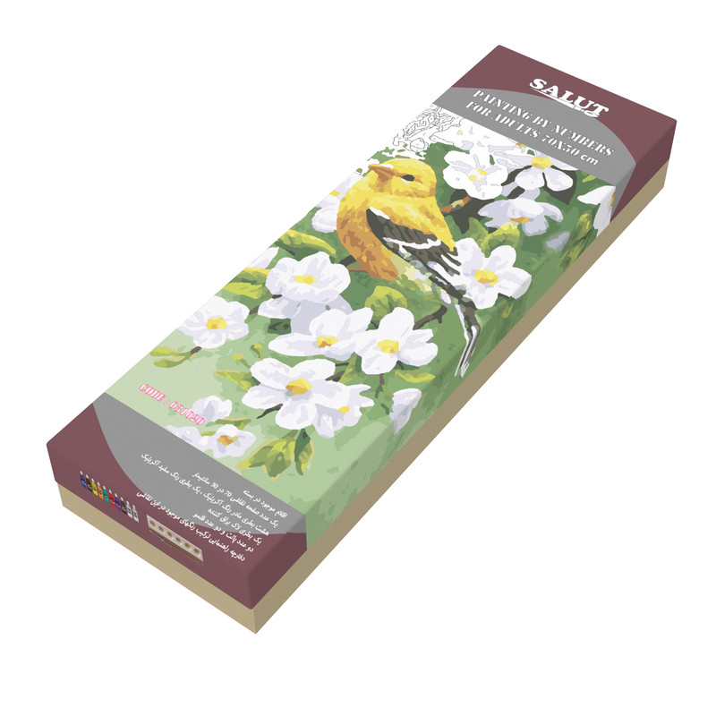 بسته رنگ آمیزی سالوت مدل آکرولیک کد 031020 مجموعه 18 عددی