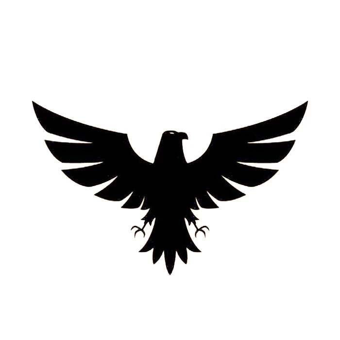 برچسب بدنه خودرو مهدیار طرح بال عقاب کد sb117mb