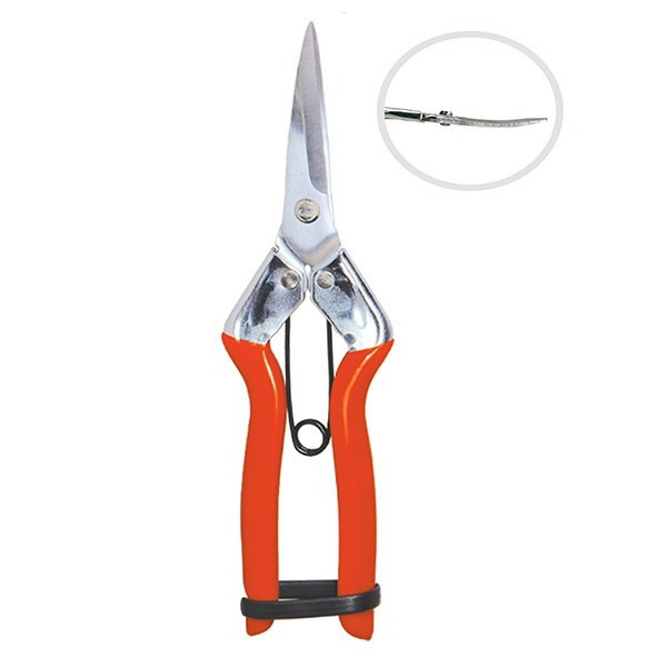 قیچی میوه چینی بهکو مدل BEH-TAIWAN-1812