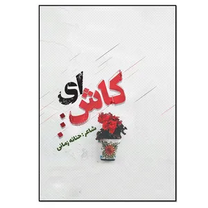 کتاب ای کاش اثر حنانه زمانی انتشارات نسل روشن