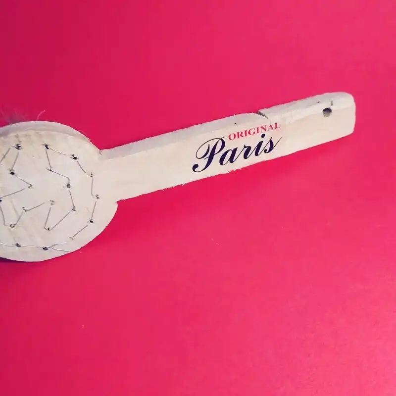 فرچه کفش پانیا مدل GEA-TRM به همراه یک عدد پاشنه کش