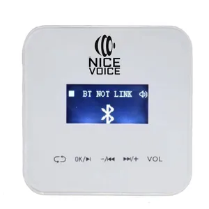 آمپلی فایر نایس ویس مدل  C