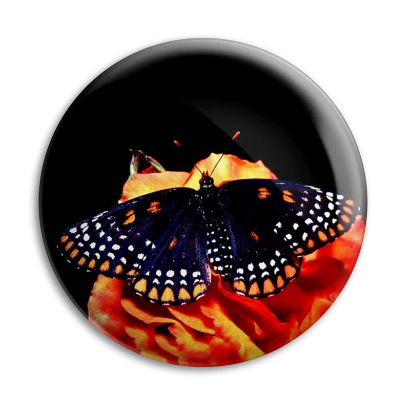 مگنت پرمانه طرح پروانه کد pmag.22143