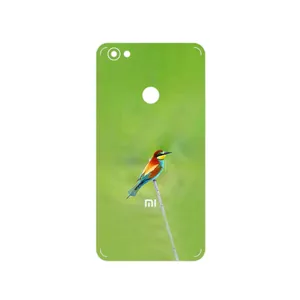 MAHOOT European bee-eater Cover Sticker for Xiaomi Redmi Note 5A Prime