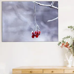Starboy Gallery Amazing 367 Winter Tableau